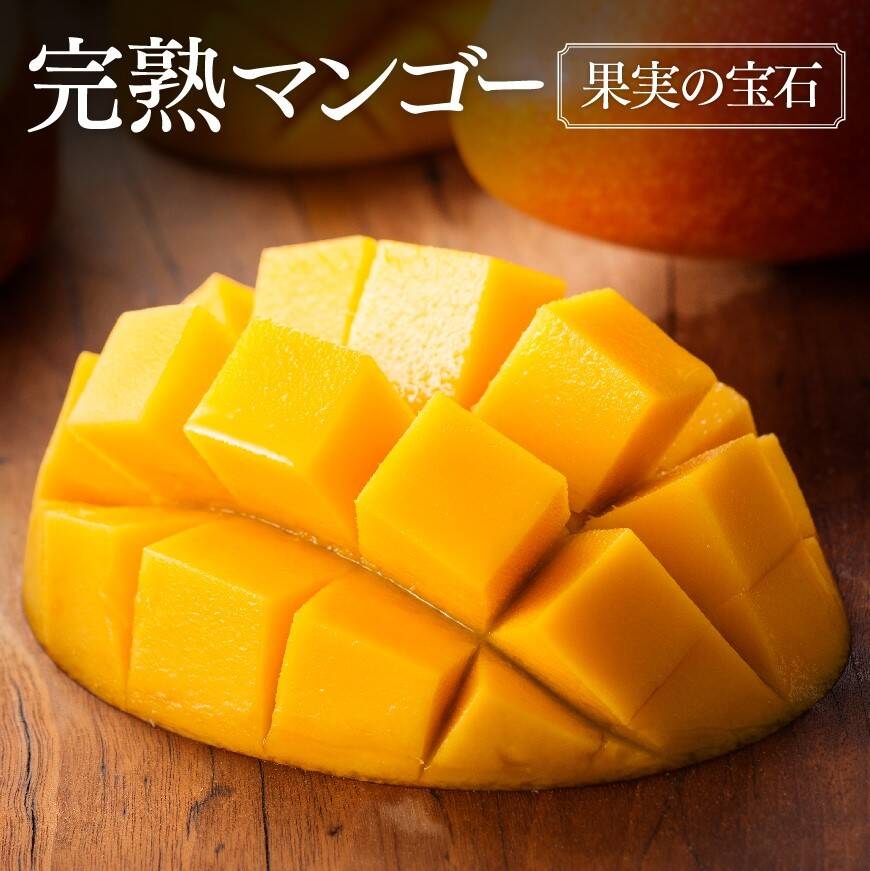 箱から溢れるサイズ感！糖度15度超えの太陽マンゴー(4Lサイズ1玉
