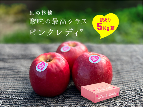 発送中🍎【ヒルナンデスでました！】ピンクレディー®︎ 5キロ訳あり品