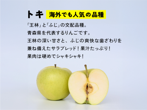 フルーティーサマーアップル】トキ 3キロ箱 6玉〜15玉サイズ商品