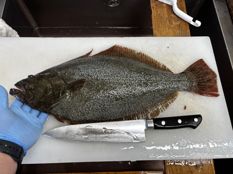 たっぷり味わう贅沢】瀬戸内ブランド天然国産ヒラメ刺身・しゃぶしゃぶ