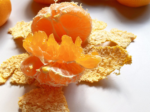 甘さと酸味が丁度いい！濃厚興津早生みかん3kg ご家庭用（2S～2L：約25