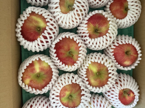 🍎幻の夏りんご🍎夏あかり 3キロ箱 小玉品種〜18玉 商品ID40928 長野県