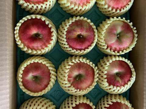 🍎幻の夏りんご🍎夏あかり 3キロ箱 小玉品種〜18玉 商品ID40928 長野県