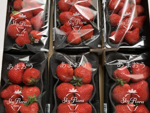 🍓イチゴ🍓家庭用🍓福岡県産🍓 空中で真っ赤に実る🍓 【あまおういちご