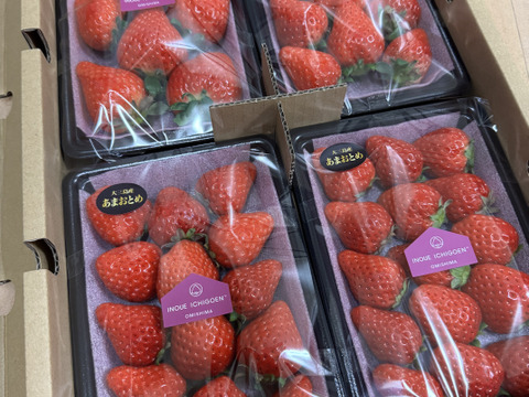 瀬戸内・大三島産しまなみいちご。（280g×4パック） 【ギフト】（熨斗