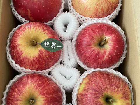 🍎希少品種🍎世界一約3キロ 6～7玉入り 青森りんごID168643：青森県産