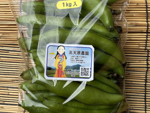 4月下旬発送 旬のそら豆 2キロ：徳島県産のその他そら豆｜食べチョク