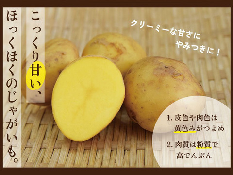 予約開始！！【長崎県産じゃがいも】希少品種！『ながさき黄金』10kg