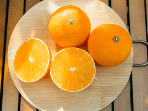 数量限定】とろけるゼリー食感！段畑まどんな (2キロ ご家庭用) 段畑