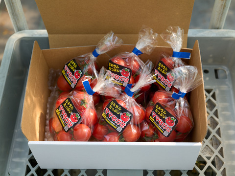 ミネラルたっぷりトマト『ママなかせ』6袋入り1kgまた買って買ってと