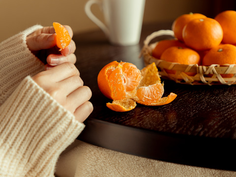 こたつの上の冬物語』贅沢柑橘の定期便！驚愕の全15種類！！：愛媛県