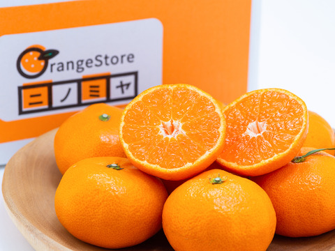 食べチョクで1番売れてるみかんです！】贈答用の夕やけみかん【極