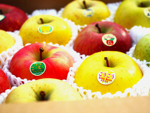 予約開始】3個 888,888円の高級リンゴ！限定30セット！！大切