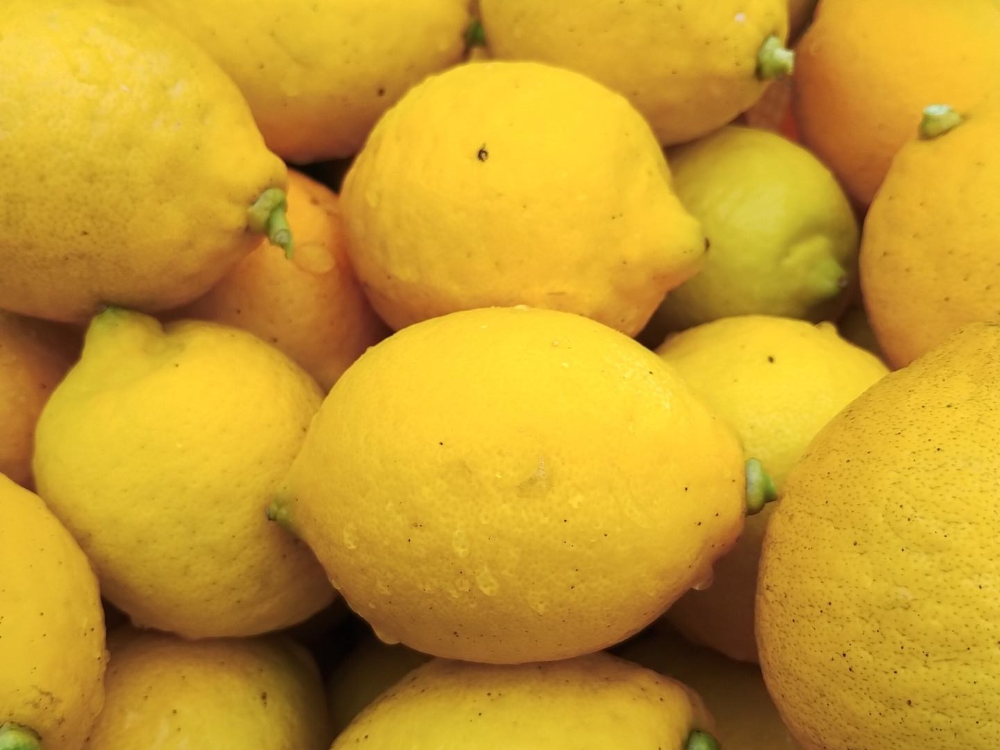 栽培期間農薬不使用】大崎上島産完熟レモン2kg：広島県産のみかん