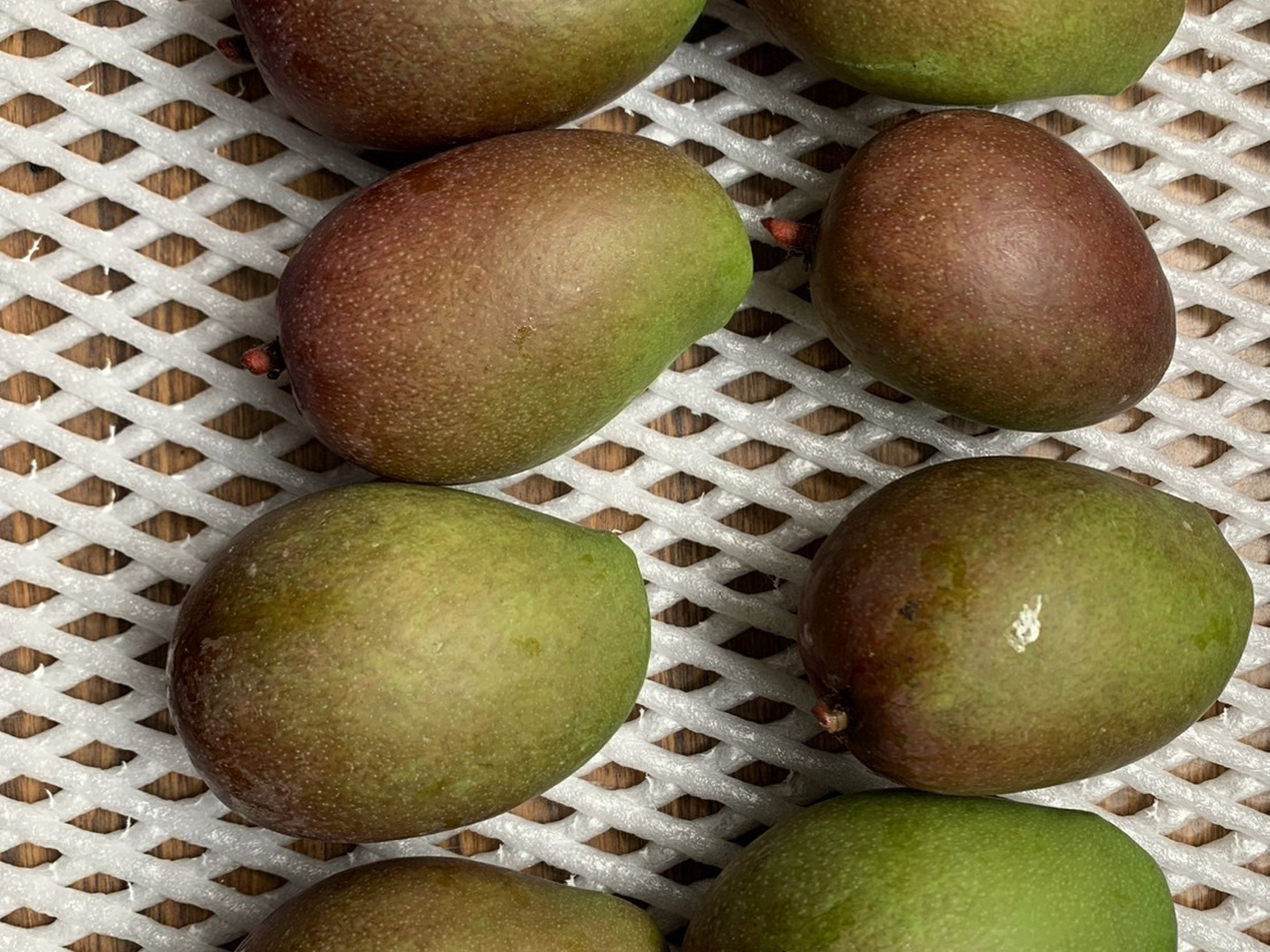 期間限定 摘果マンゴー （2.5kg）：沖縄県産の果物｜食べチョク｜産地