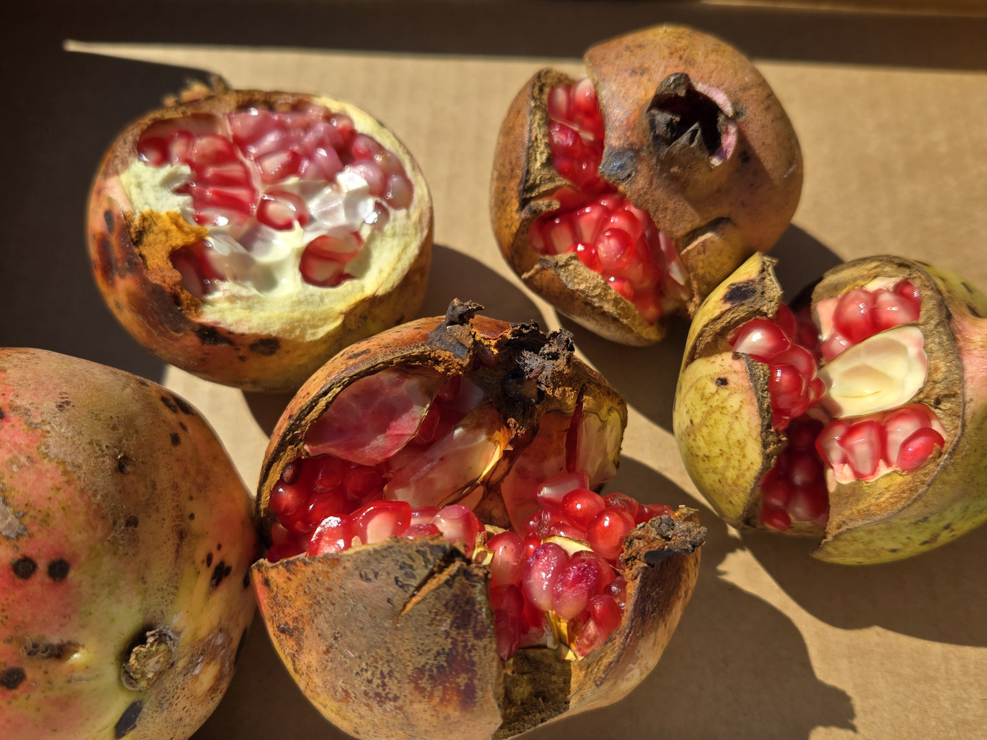 98ce79db1054d34ba483efb6feeddc