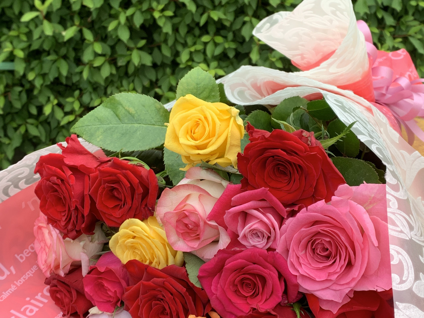 b41b7777707103c91bfb913f12ee7e