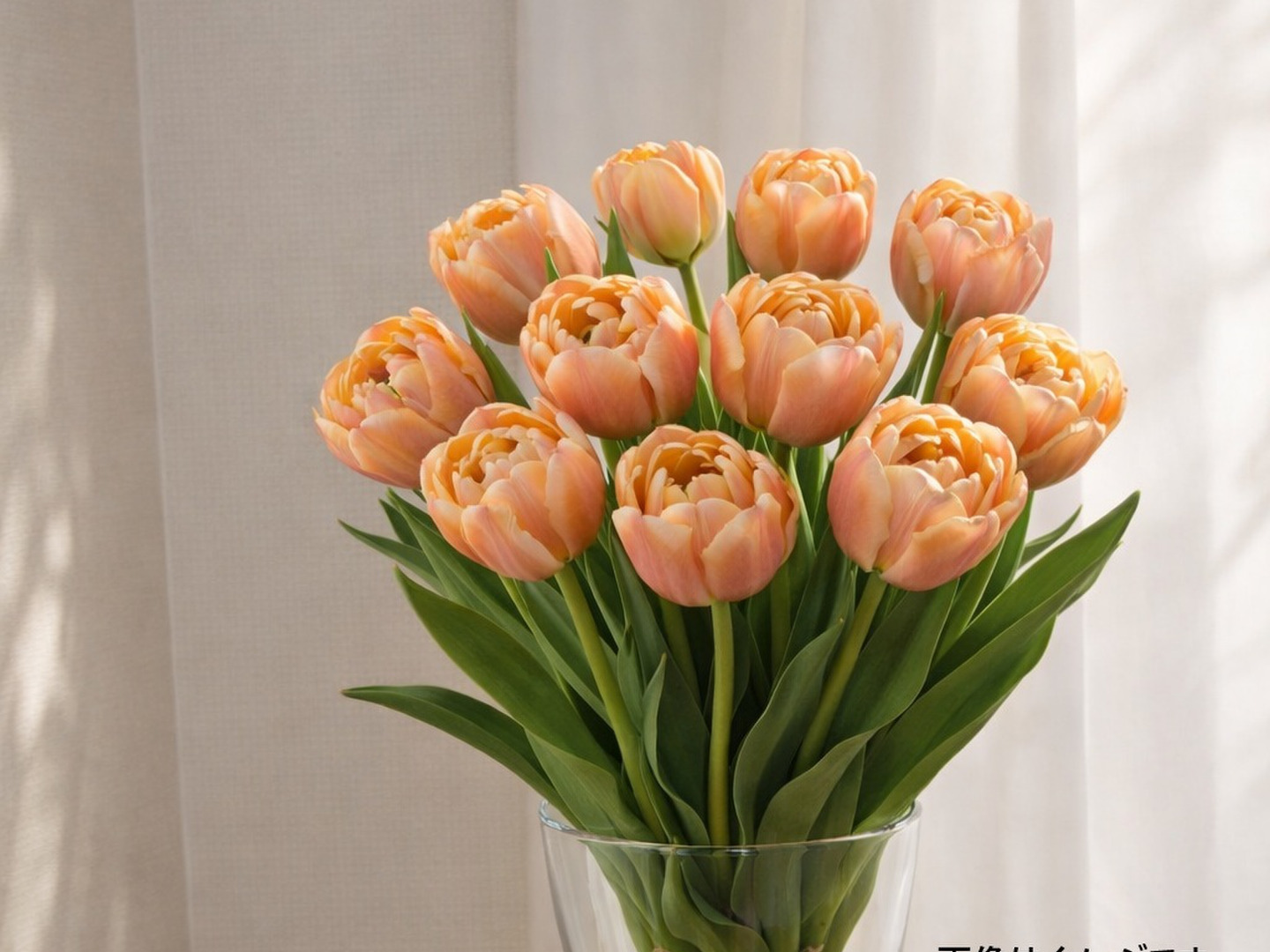 ラ・ベルエポック チューリップ5本 アンティークカラー 希少品種 画像