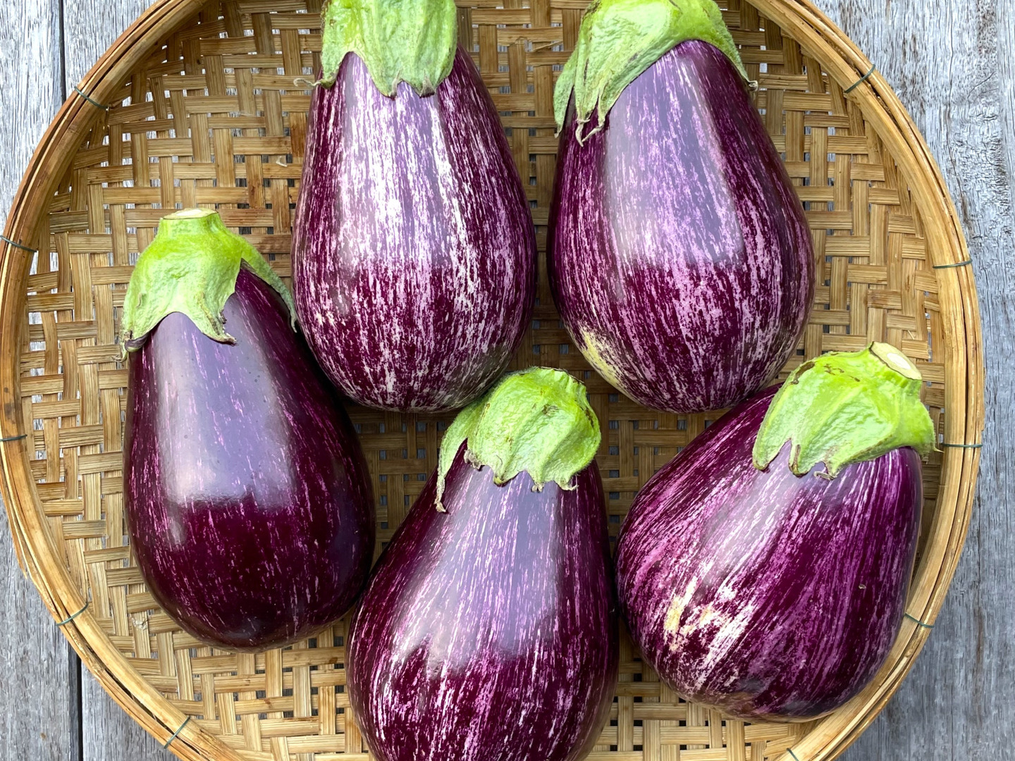 675cd441c177742a0a67a2dfc4eac0