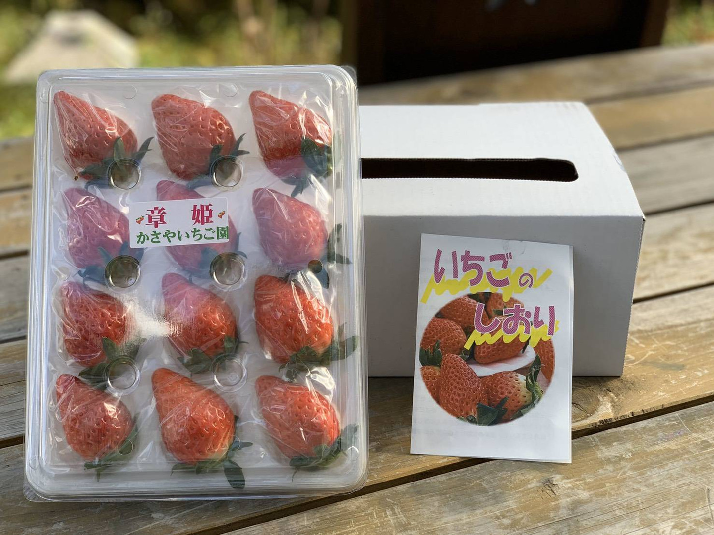 期間限定！かさやいちご プレミアム大粒（24粒入り）：兵庫県産の