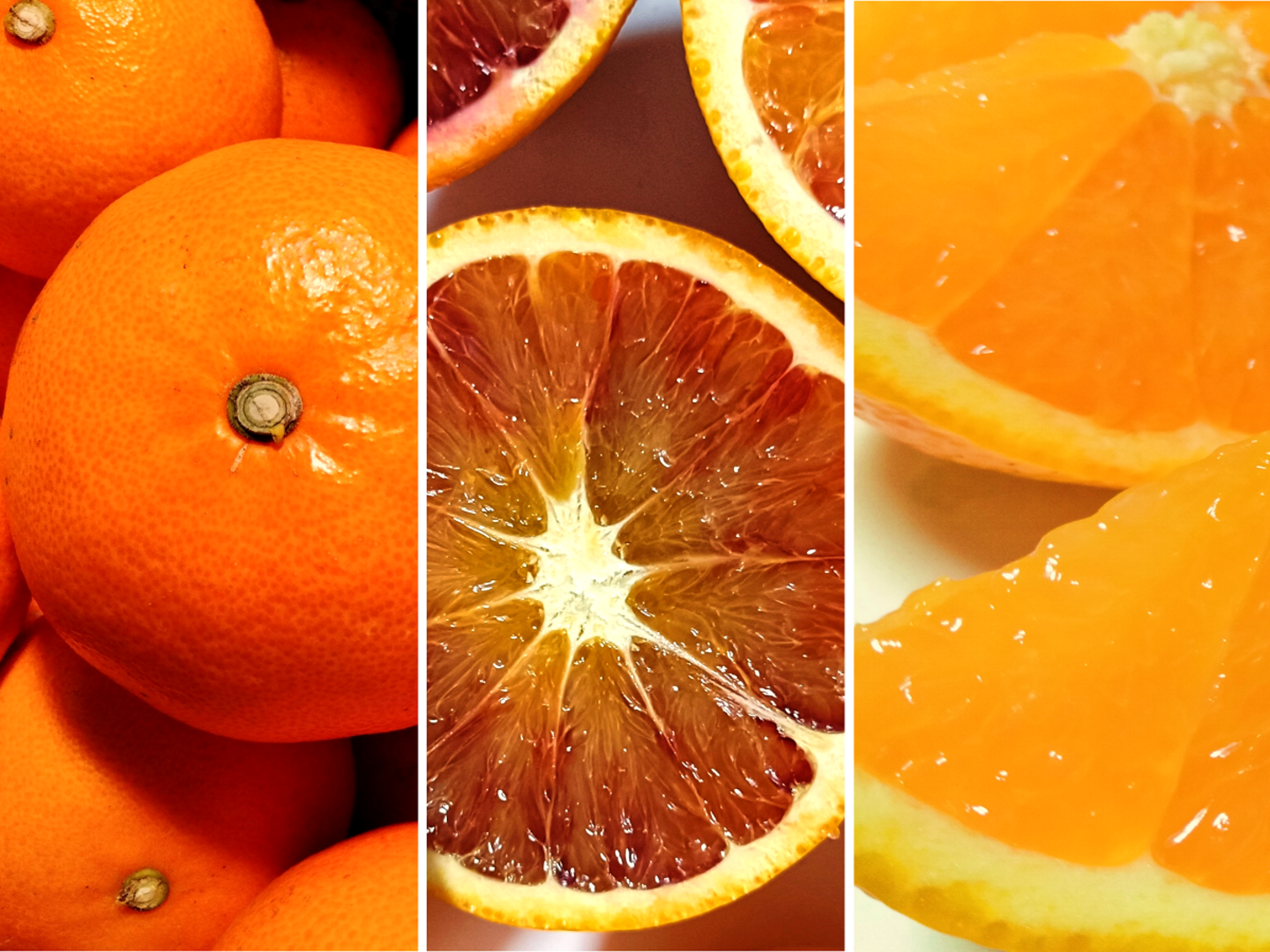 柑橘食べ比べ】せとか＋ブラッドオレンジ＋清見 合計3kg《家庭用