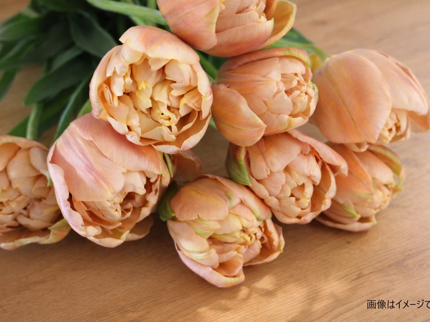 ラ・ベルエポック チューリップ5本 アンティークカラー 希少品種 画像