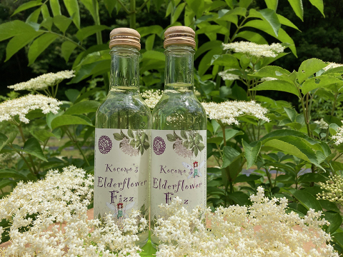 エルダーフラワー フィズ』6本セット🌼エルダーフェアリーに会えるかな