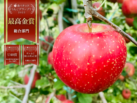 りんごGP2025最高金賞1位🎊【究極のサンふじ】コスモふじ 5キロ箱 商品