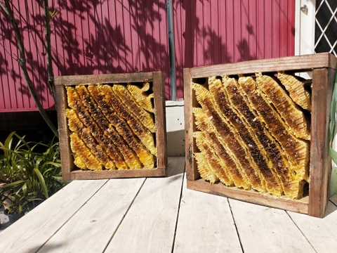 希少品】日本蜜蜂のこだわり巣蜜『極味』と小瓶付：福岡県産のはちみつ