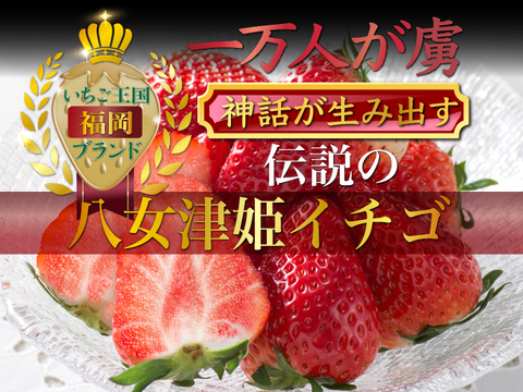 糖度15度オーバー】一万人が虜になった究極の匠の叡智『八女津姫