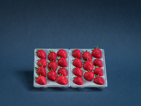 🥇いちごグランプリ2026ジューシー賞受賞】最高鮮度でお届け！ 優しい