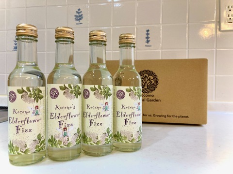 エルダーフラワー フィズ』15本セット🌼エルダーフェアリーに会える