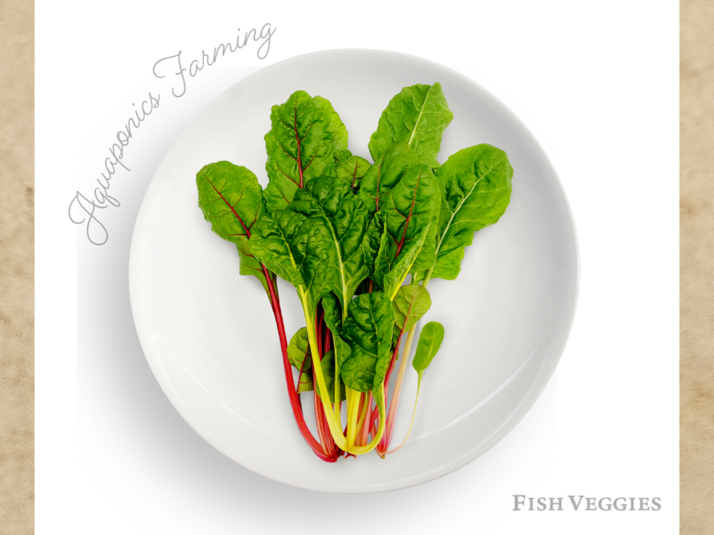 fcf9125b93c8f3da01c4942dfd60c8