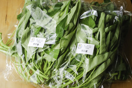 空心菜の通販｜その他葉物野菜｜食べチョク｜産地直送(産直)お取り寄せ