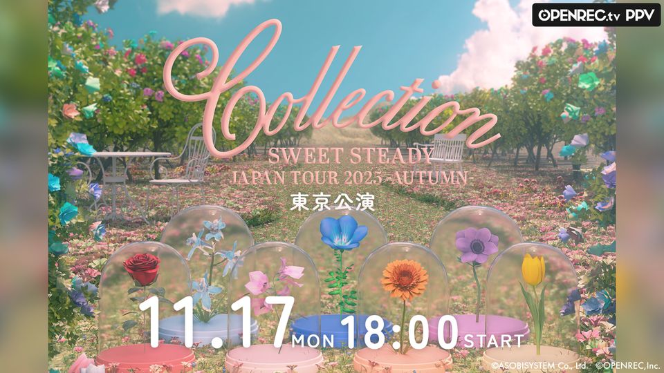 新品未使用品】Flowers concert 10周年記念パンフレット 新品未使用品