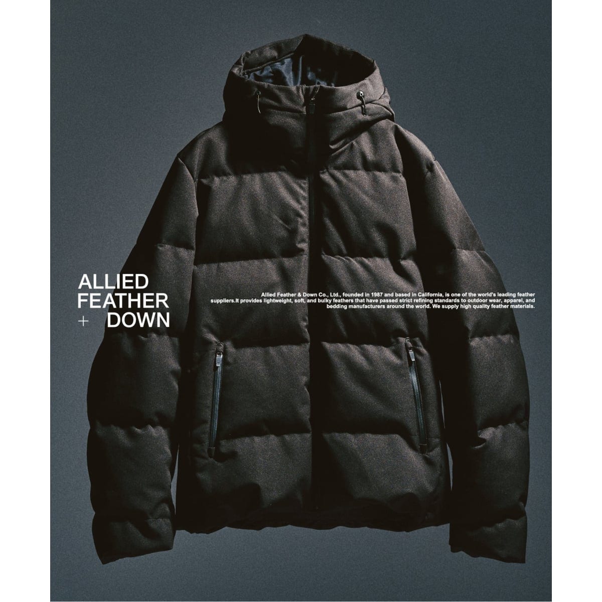 エディフィス(EDIFICE) メンズダウンジャケット | 通販・人気