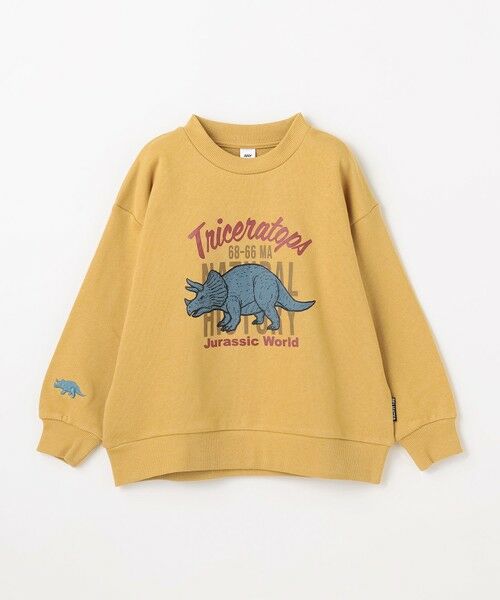 セール】 恐竜プリント 裏毛トレーナー （スウェット）｜ANY / エニィ