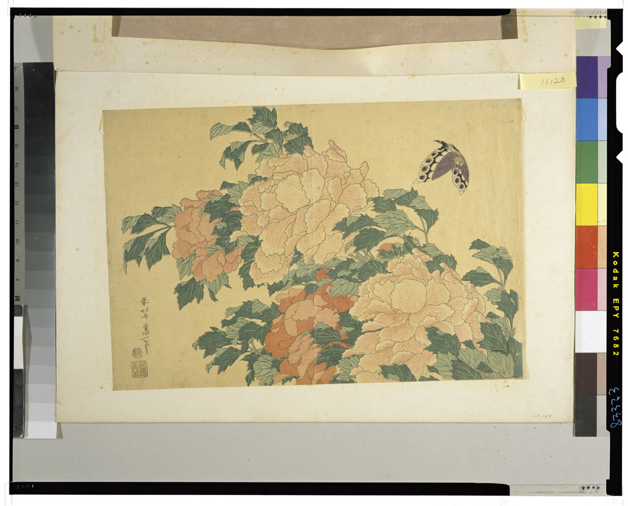 ☆未使用☆ キリン ビアマグ 中国景徳鎮製 粉彩牡丹蝶々図