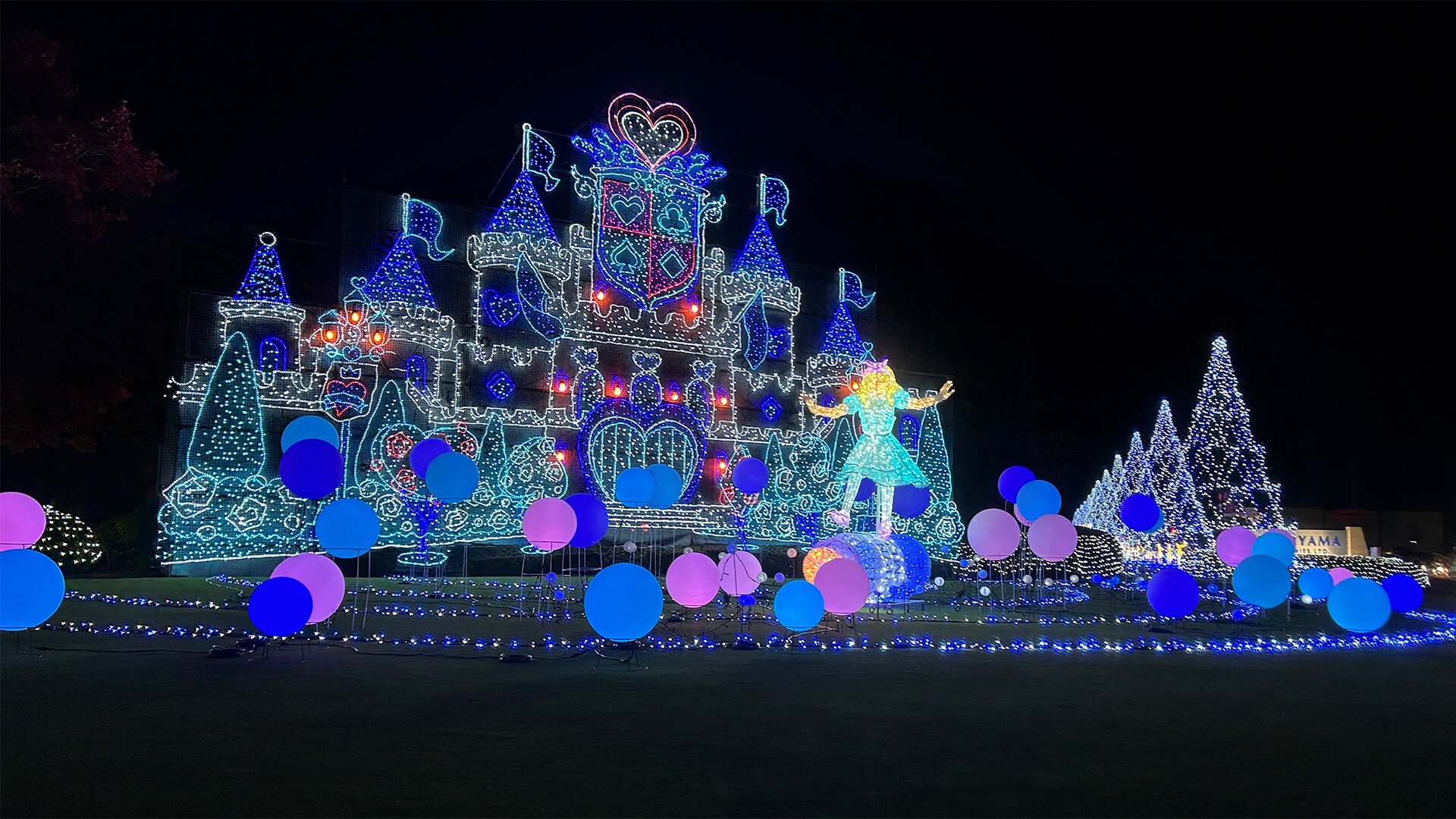 2025-2026 樫山工業イルミネーション “不思議の国のアリス～光の波