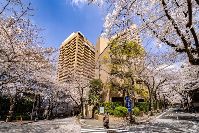アークヒルズの桜（港区） - お花見2026 - ウォーカープラス