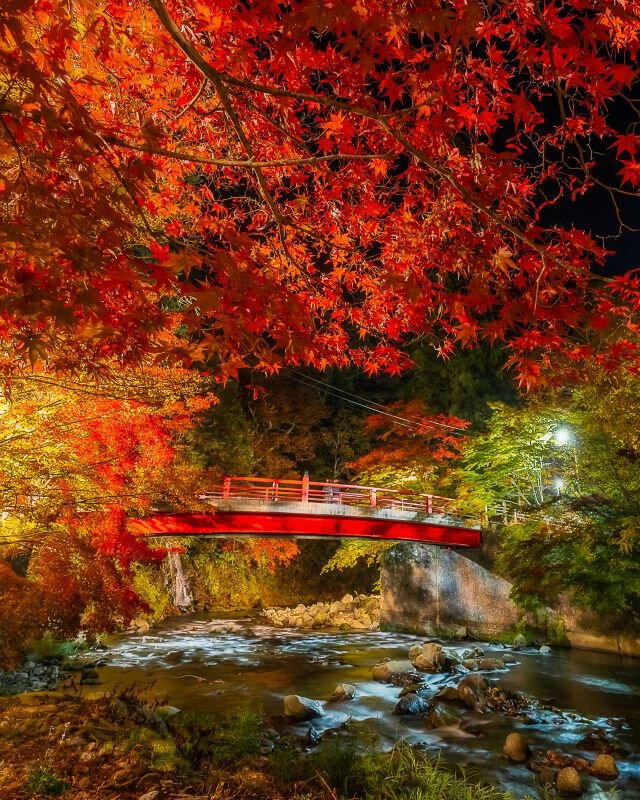 中野もみじ山の紅葉(青森県) ｜紅葉名所2025