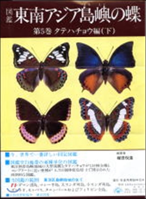 圖鑑 東南アジア島嶼の蝶(5)タテハチョウ編 下 | 塚田悅造 | 南陽堂