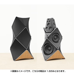 ヨドバシ.com - バング & オルフセン Bang & Olufsen アクティブ