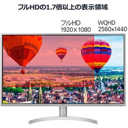 ヨドバシ.com - LGエレクトロニクス 31.5型 WQHD IPSモニター(2560