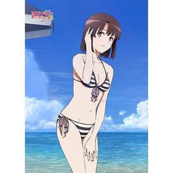 ヨドバシ.com - カーテン魂 冴えない彼女の育てかた Fine 描き下ろしB2