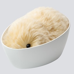 ヨドバシ.com - カシオ CASIO PE-M10GD [Moflin（モフリン） AIペット