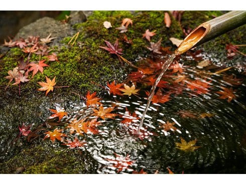 ヨドバシ.com - ケンコー Kenko PLフィルター 67mm ZX（ゼクロス） C