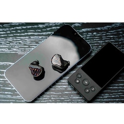 ヨドバシ.com - セーオーディオ THIEAUDIO Valhalla 19BAドライバー