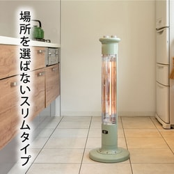 ヨドバシ.com - アラジン Aladdin グラファイトヒーター グリーン CAH