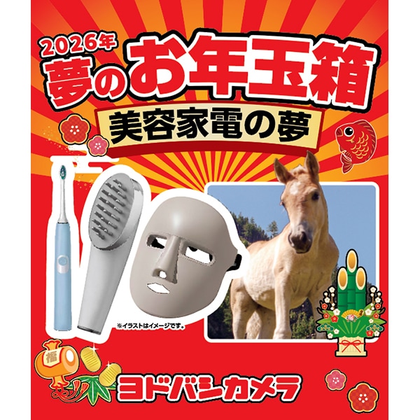 2026】ヨドバシ福袋「夢のお年玉箱」全種類の中身をネタバレ！ – もば